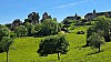 20260521_163140.jpg
